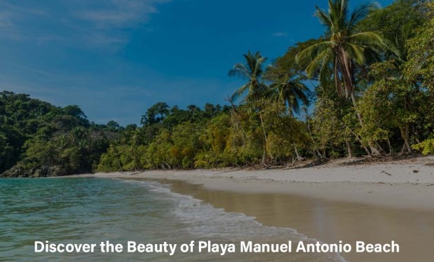 discover-the-beauty-of-playa-manuel-antonio-beach
