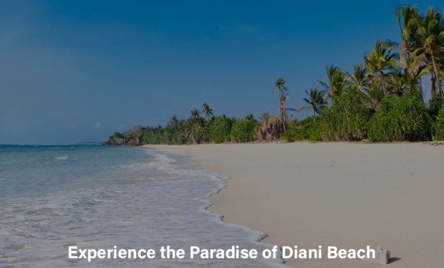 experience-the-paradise-of-diani-beach