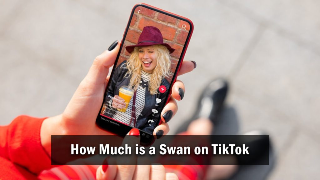 How Much is a Swan on TikTok