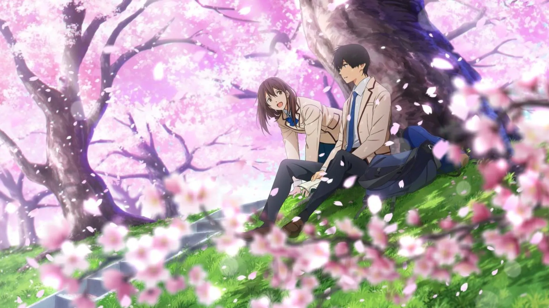 I Want to Eat Your Pancreas Movie in Hindi