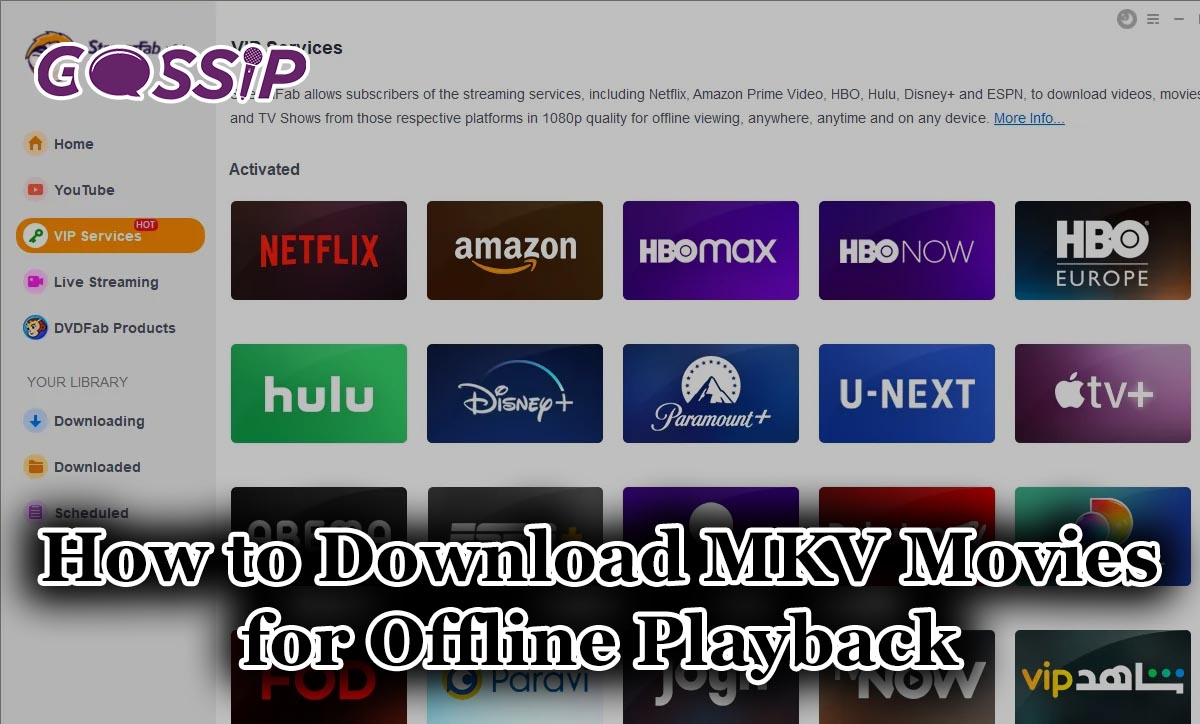 How to Download MKV Movies for Offline Playback